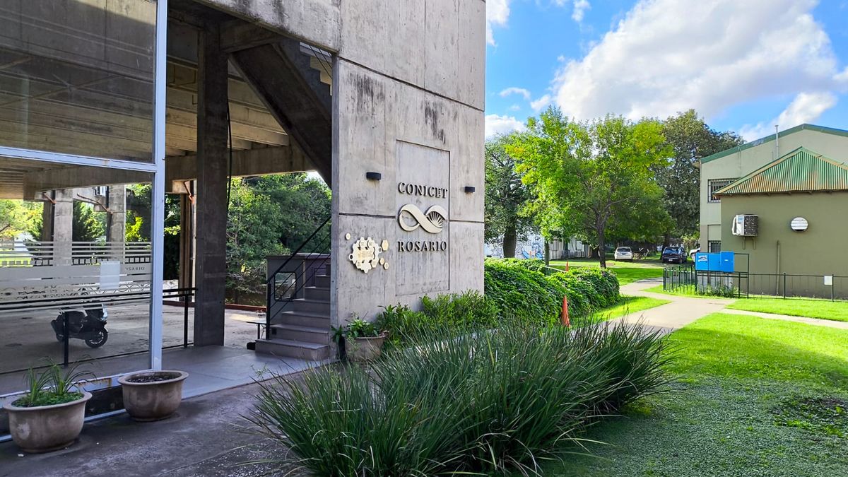 Conicet Rosario perdió dos investigadores por mes en lo que va del año