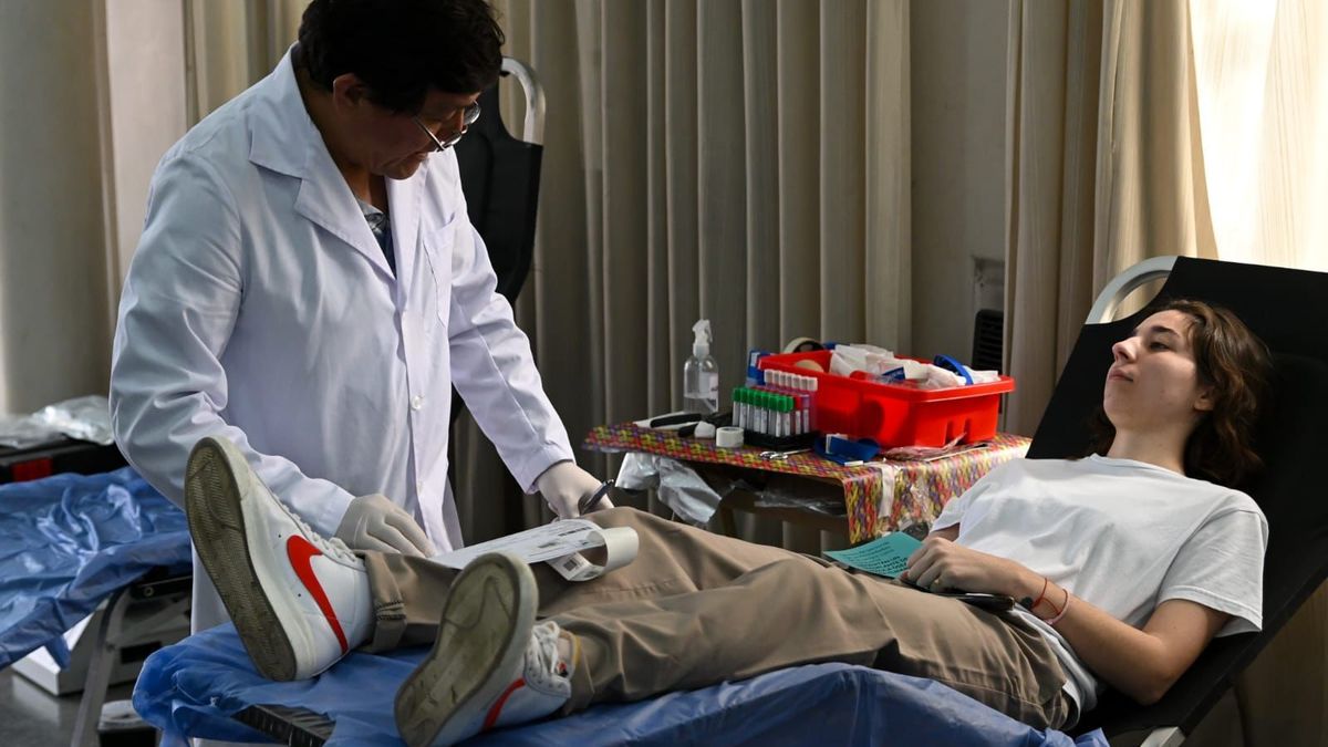 Santa Fe lidera donación de sangre: 30.000 personas donaron en 2025